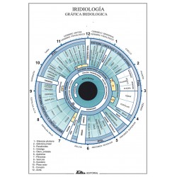 Lamina plastificada Iridiologia A4