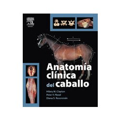 Anatomía clínica del caballo 