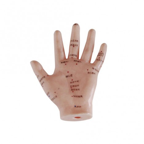 Modelo de mano 13 cm