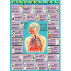 Guide de l'aromathérapie