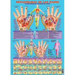 Poster Réflexologie des mains