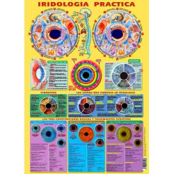 Poster Iridologie