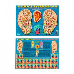 Auriculoterapia el poder curativo A4