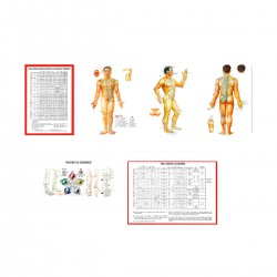Guía práctica anatomofisiología de MTC