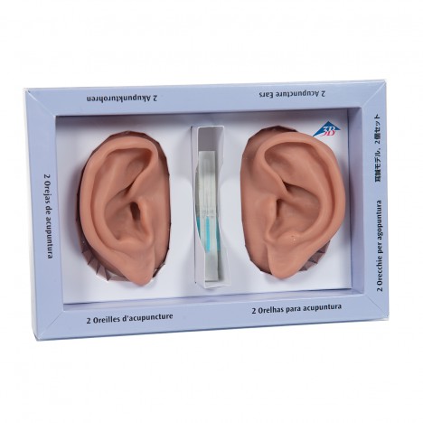 2 oreilles d'acupuncture