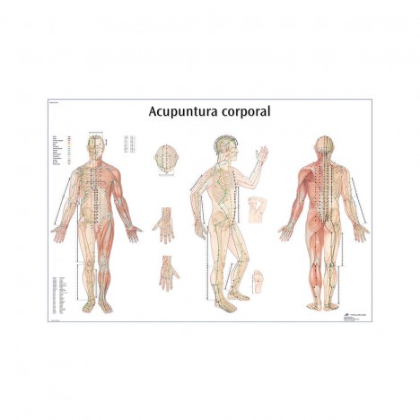 Acupuncture corporelle