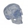 Cráneo Clásico transparente, 3 partes - 3B Smart Anatomy