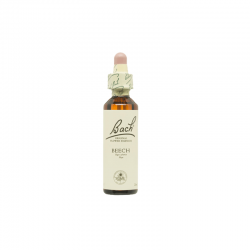 Flores de Bach: Beech - Haya Común 20 ml