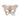 Pelvis femenina, 3-partes - 3B Smart Anatomy